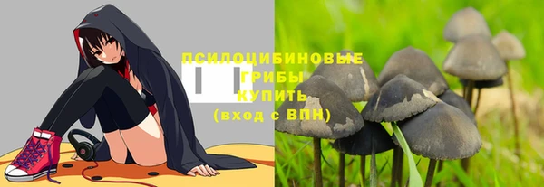 мескалин Алексин