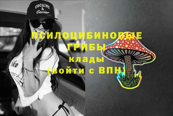 мескалин Алексин