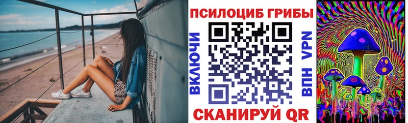 Галлюциногенные грибы Cubensis  ссылка на мегу ТОР  Яровое  купить  