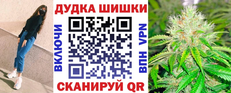 где продают   Яровое  omg ONION  Каннабис индика 
